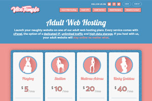adult entertainment web site hosting